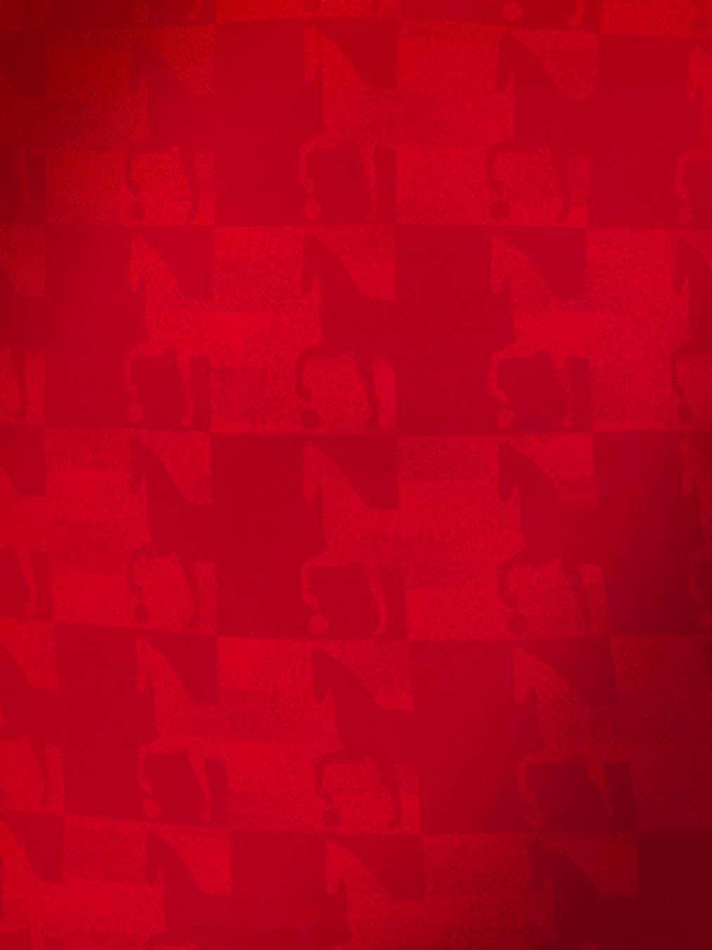 Ecco le maglie del Calcio Padova 2026-2027